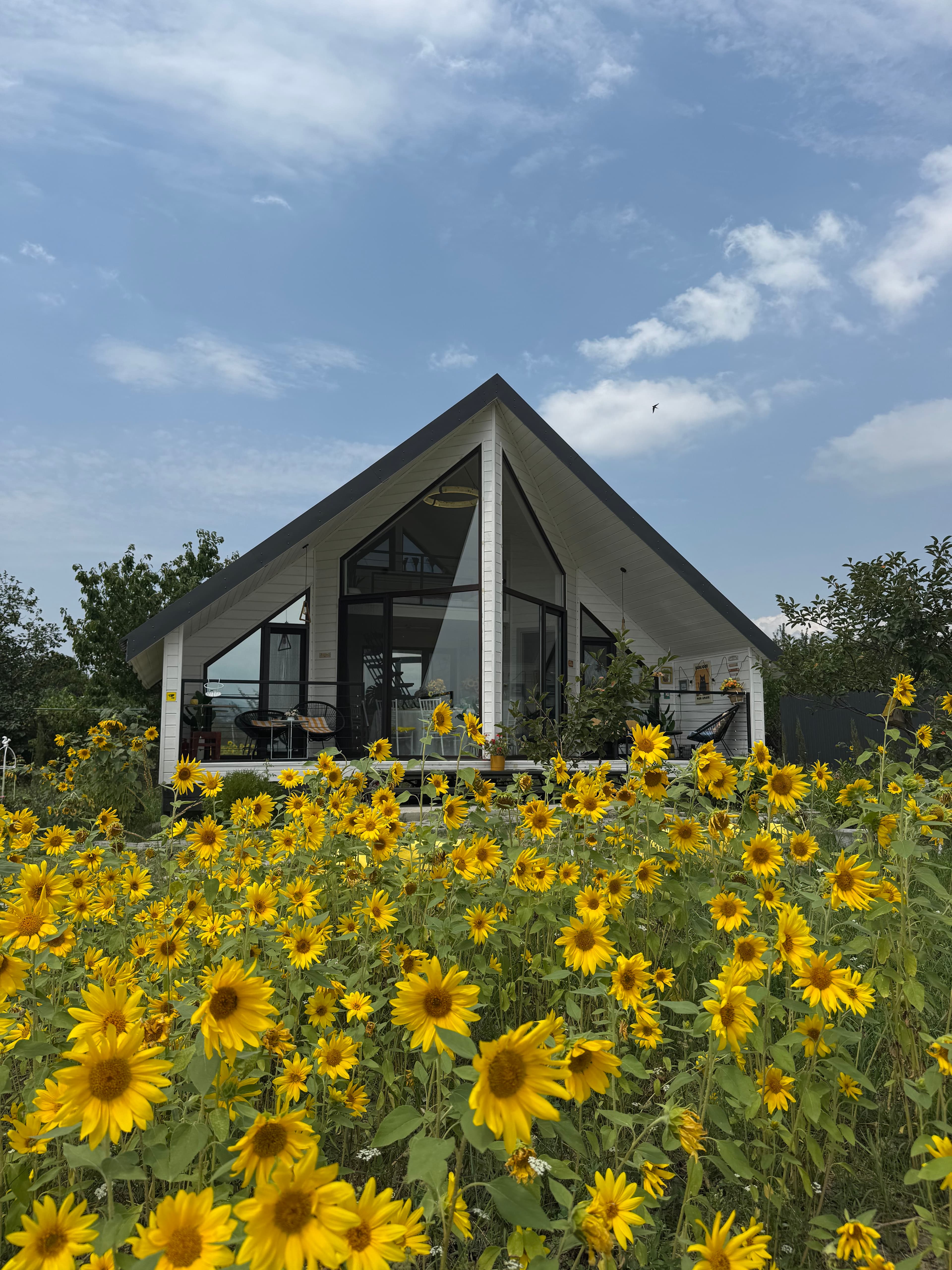 Yellow House
